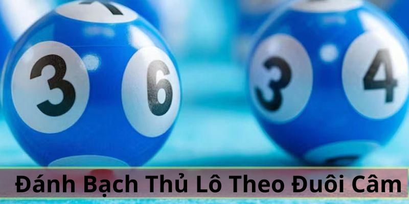 Đánh bạch thủ chuẩn dựa vào đuôi lô câm